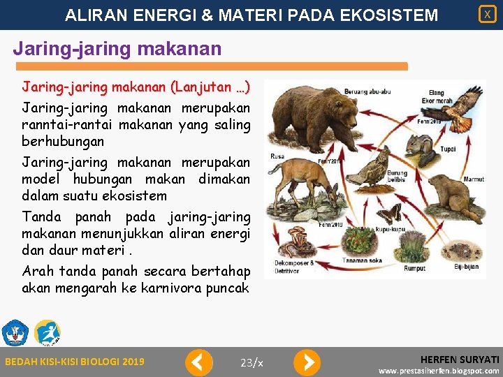 ALIRAN ENERGI & MATERI PADA EKOSISTEM X Jaring-jaring makanan (Lanjutan …) Jaring-jaring makanan merupakan