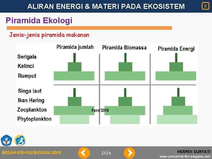 ALIRAN ENERGI & MATERI PADA EKOSISTEM X Piramida Ekologi Jenis-jenis piramida makanan BEDAH KISI-KISI