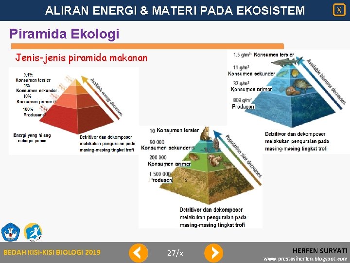 ALIRAN ENERGI & MATERI PADA EKOSISTEM X Piramida Ekologi Jenis-jenis piramida makanan BEDAH KISI-KISI