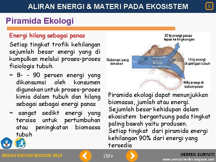 ALIRAN ENERGI & MATERI PADA EKOSISTEM X Piramida Ekologi Energi hilang sebagai panas Setiap