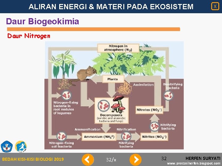 ALIRAN ENERGI & MATERI PADA EKOSISTEM X Daur Biogeokimia Daur Nitrogen BEDAH KISI-KISI BIOLOGI