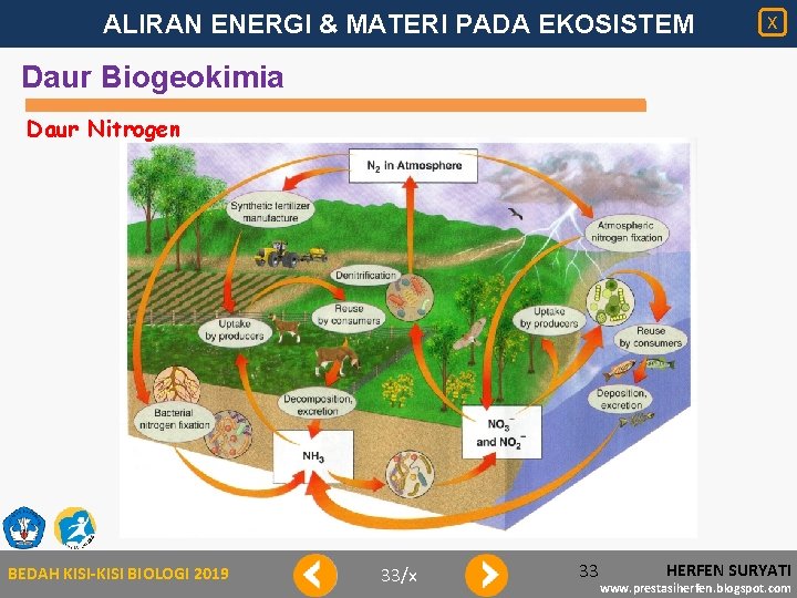 ALIRAN ENERGI & MATERI PADA EKOSISTEM X Daur Biogeokimia Daur Nitrogen BEDAH KISI-KISI BIOLOGI