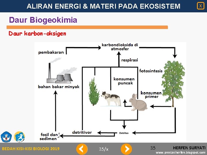 ALIRAN ENERGI & MATERI PADA EKOSISTEM X Daur Biogeokimia Daur karbon-oksigen BEDAH KISI-KISI BIOLOGI