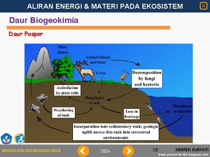 ALIRAN ENERGI & MATERI PADA EKOSISTEM X Daur Biogeokimia Daur Pospor BEDAH KISI-KISI BIOLOGI