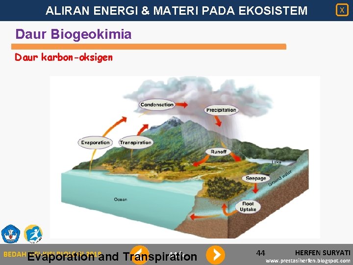 ALIRAN ENERGI & MATERI PADA EKOSISTEM X Daur Biogeokimia Daur karbon-oksigen BEDAH KISI-KISI BIOLOGI