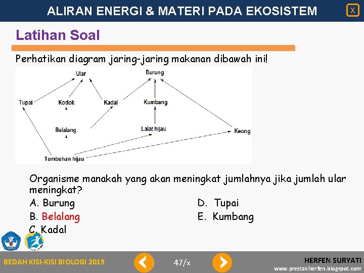 ALIRAN ENERGI & MATERI PADA EKOSISTEM X Latihan Soal Perhatikan diagram jaring-jaring makanan dibawah