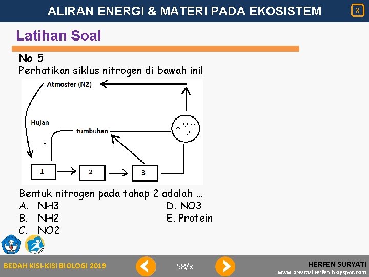 ALIRAN ENERGI & MATERI PADA EKOSISTEM X Latihan Soal No 5 Perhatikan siklus nitrogen