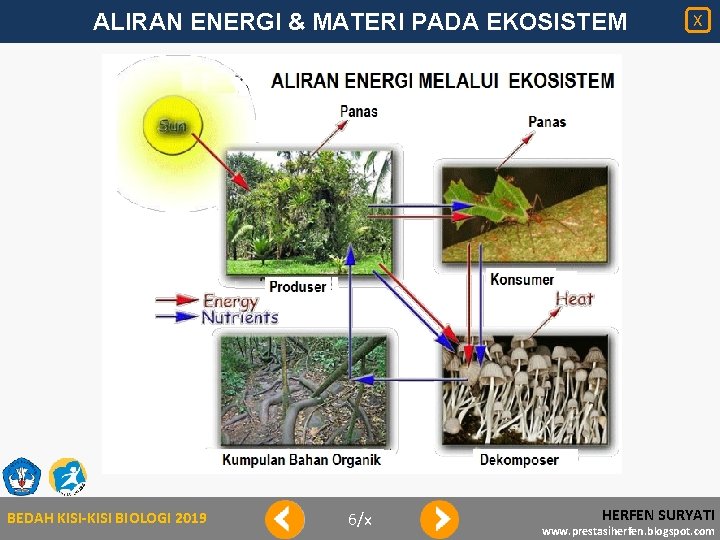 ALIRAN ENERGI & MATERI PADA EKOSISTEM BEDAH KISI-KISI BIOLOGI 2019 6/x X HERFEN SURYATI