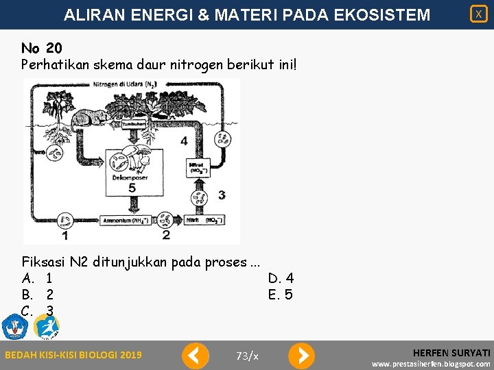 ALIRAN ENERGI & MATERI PADA EKOSISTEM X No 20 Perhatikan skema daur nitrogen berikut