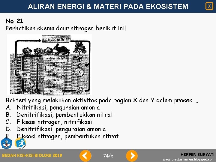 ALIRAN ENERGI & MATERI PADA EKOSISTEM X No 21 Perhatikan skema daur nitrogen berikut