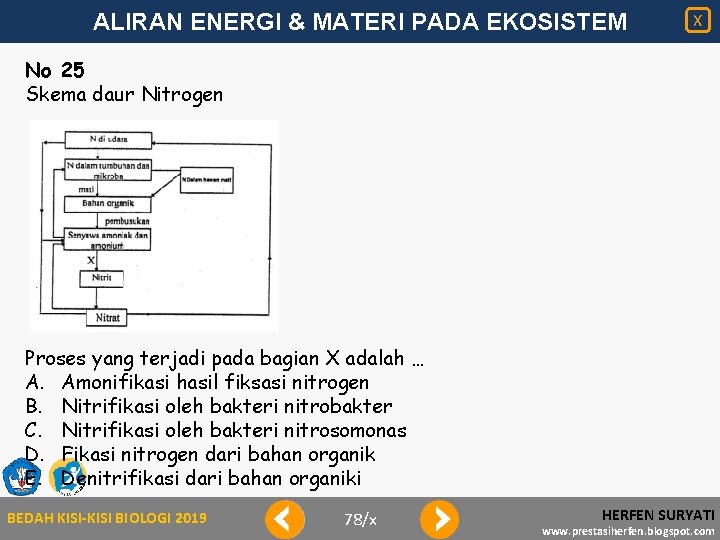 ALIRAN ENERGI & MATERI PADA EKOSISTEM X No 25 Skema daur Nitrogen Proses yang