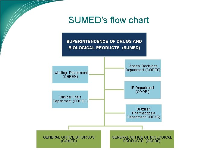 SUMED’s flow chart SUPERINTENDENCE OF DRUGS AND BIOLOGICAL PRODUCTS (SUMED) Labeling Department (CBREM) Appeal