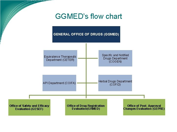 GGMED’s flow chart GENERAL OFFICE OF DRUGS (GGMED) Equivalence Therapeutic Department (CETER) API Department