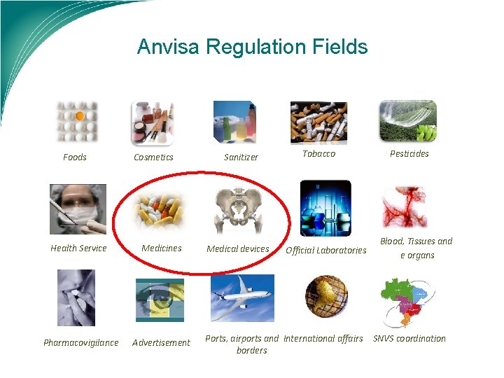 Anvisa Regulation Fields Foods Cosmetics Health Service Medicines Pharmacovigilance Advertisement Sanitizer Medical devices Tobacco