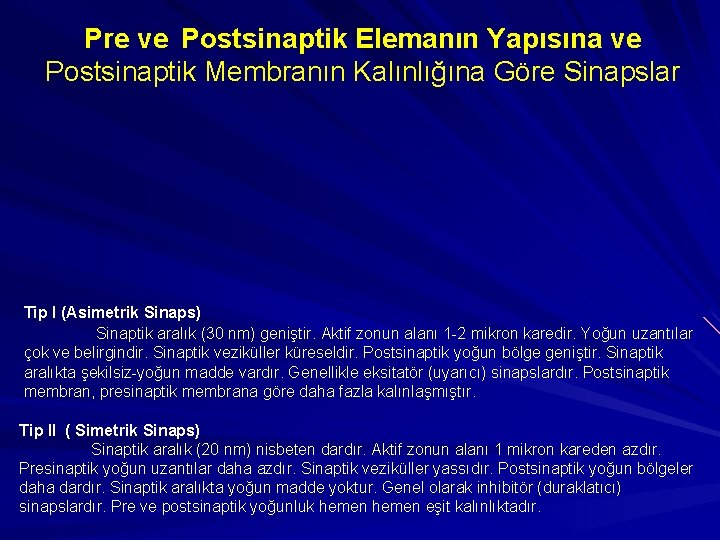 Pre ve Postsinaptik Elemanın Yapısına ve Postsinaptik Membranın Kalınlığına Göre Sinapslar Tip I (Asimetrik