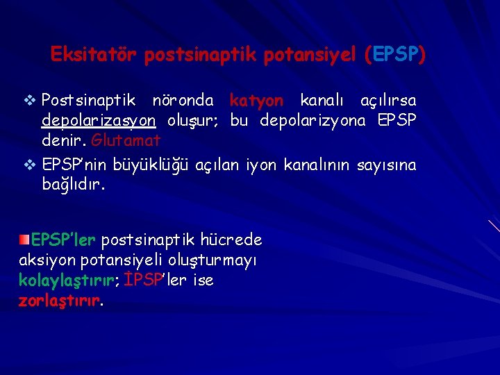 Eksitatör postsinaptik potansiyel (EPSP) v Postsinaptik nöronda katyon kanalı açılırsa depolarizasyon oluşur; bu depolarizyona