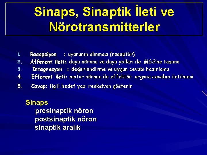 Sinaps, Sinaptik İleti ve Nörotransmitterler 4. Resepsiyon : uyaranın alınması (reseptör) Afferent ileti: duyu