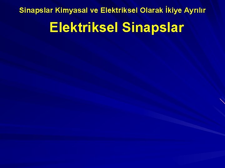 Sinapslar Kimyasal ve Elektriksel Olarak İkiye Ayrılır Elektriksel Sinapslar 