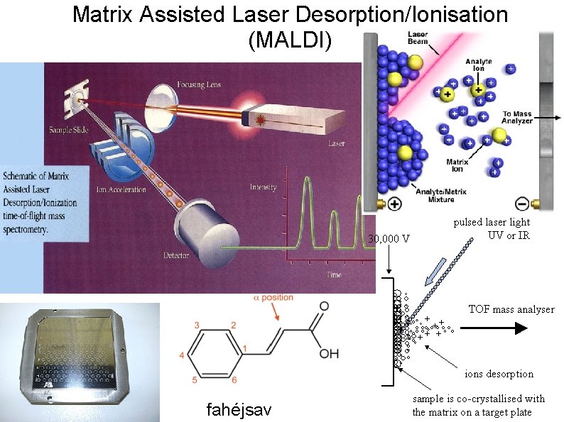 Matrix Assisted Laser Desorption/Ionisation (MALDI) fahéjsav 
