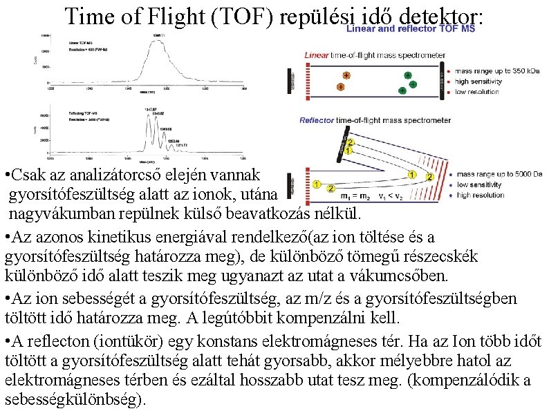 Time of Flight (TOF) repülési idő detektor: • Csak az analizátorcső elején vannak gyorsítófeszültség