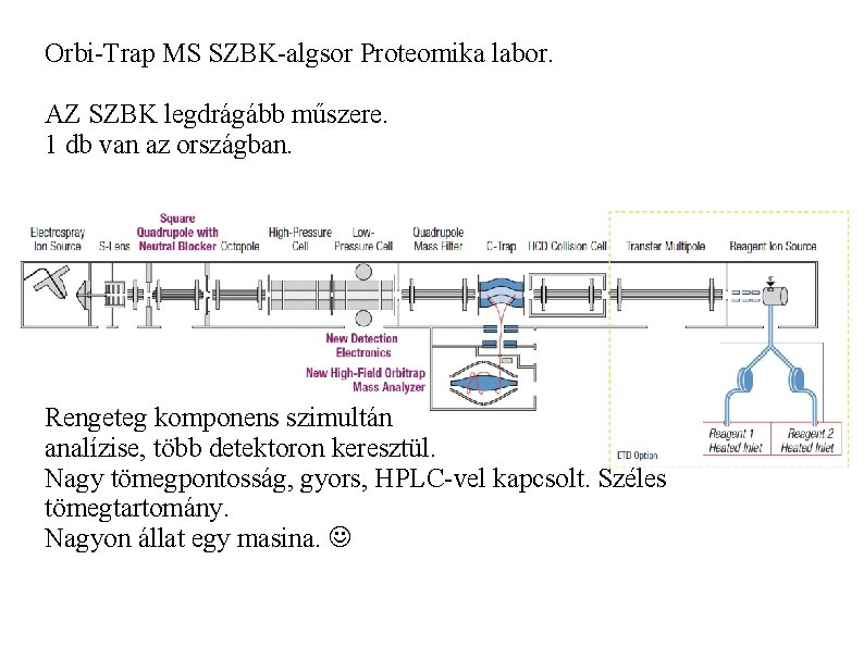 Orbi-Trap MS SZBK-algsor Proteomika labor. AZ SZBK legdrágább műszere. 1 db van az országban.
