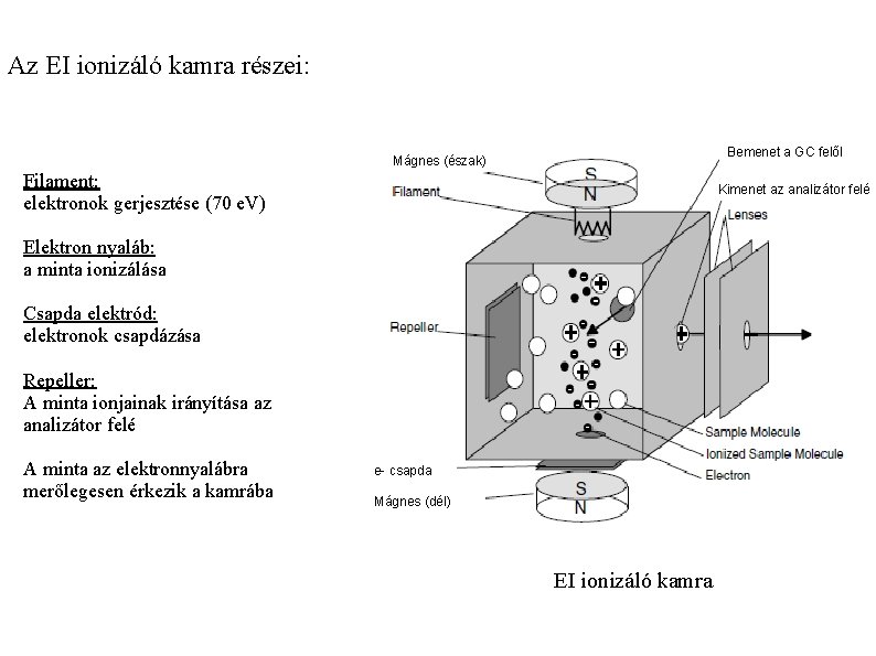 Az EI ionizáló kamra részei: Bemenet a GC felől Mágnes (észak) Filament: elektronok gerjesztése