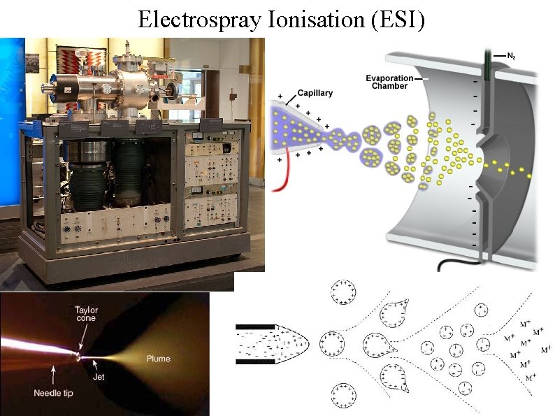 Electrospray Ionisation (ESI) 