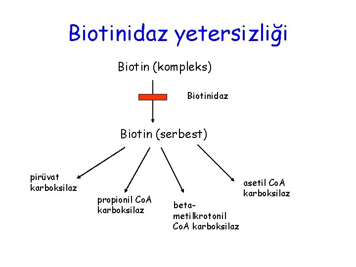 Biotinidaz yetersizliği Biotin (kompleks) Biotinidaz Biotin (serbest) pirüvat karboksilaz propionil Co. A karboksilaz betametilkrotonil