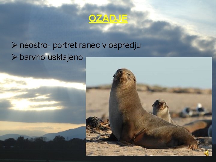 OZADJE Ø neostro- portretiranec v ospredju Ø barvno usklajeno 