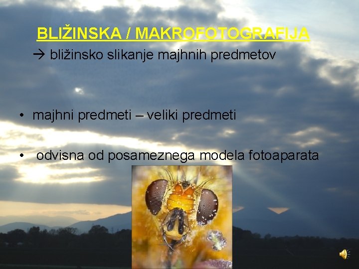 BLIŽINSKA / MAKROFOTOGRAFIJA bližinsko slikanje majhnih predmetov • majhni predmeti – veliki predmeti •