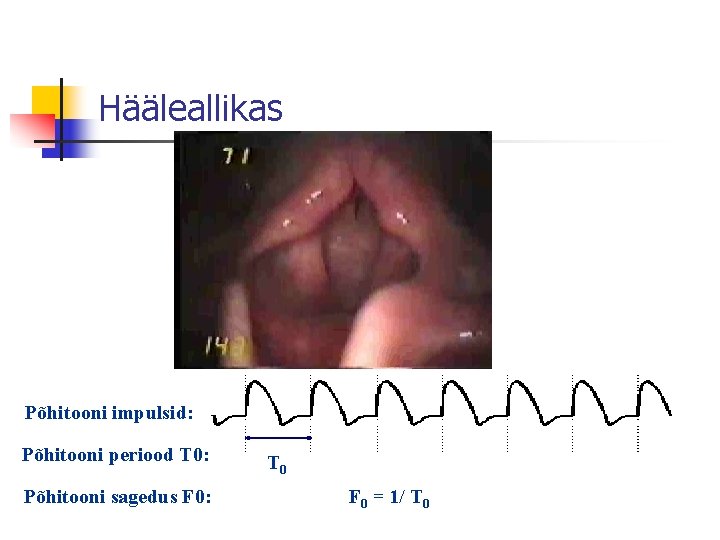 Hääleallikas Põhitooni impulsid: Põhitooni periood T 0: Põhitooni sagedus F 0: T 0 F