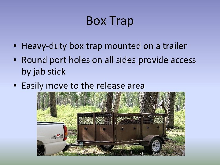 Box Trap • Heavy-duty box trap mounted on a trailer • Round port holes