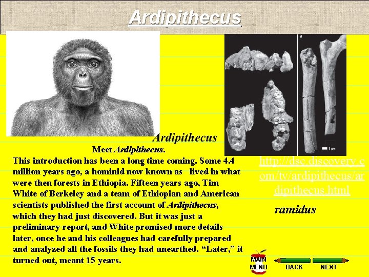 Ardipithecus Meet Ardipithecus. This introduction has been a long time coming. Some 4. 4