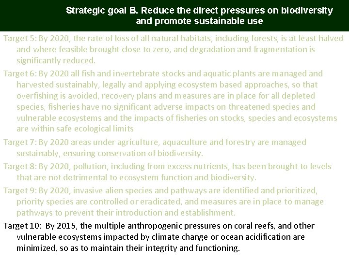 Strategic goal B. Reduce the direct pressures on biodiversity and promote sustainable use Target Strategic goal B. Reduce the direct pressures on biodiversity and promote sustainable use Target