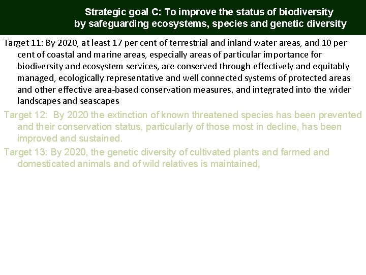 Strategic goal C: To improve the status of biodiversity by safeguarding ecosystems, species and