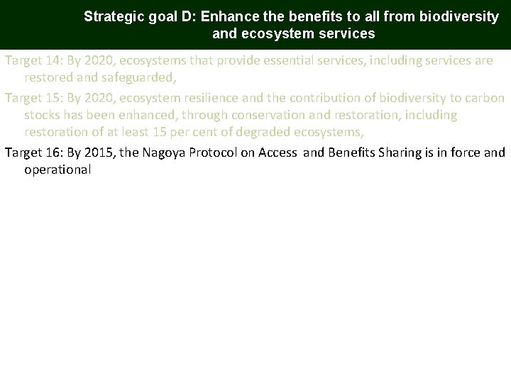 Strategic goal D: Enhance the benefits to all from biodiversity and ecosystem services Target