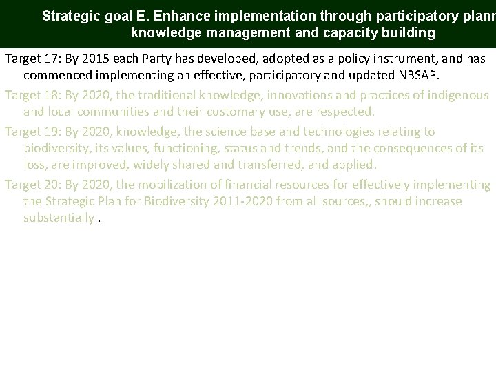 Strategic goal E. Enhance implementation through participatory plann knowledge management and capacity building Target