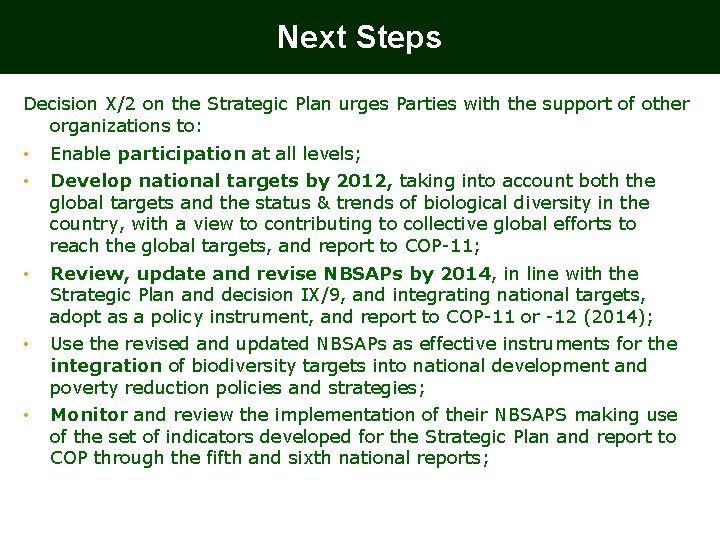 Next Steps Decision X/2 on the Strategic Plan urges Parties with the support of Next Steps Decision X/2 on the Strategic Plan urges Parties with the support of