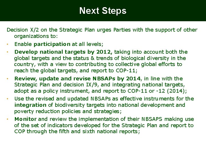 Next Steps Decision X/2 on the Strategic Plan urges Parties with the support of