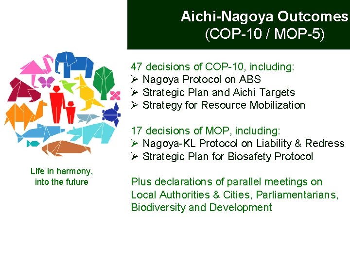 Aichi-Nagoya Outcomes (COP-10 / MOP-5) 47 decisions of COP-10, including: Ø Nagoya Protocol on