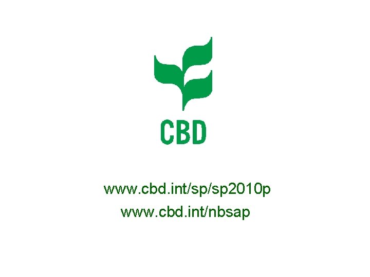 www. cbd. int/sp/sp 2010 p www. cbd. int/nbsap 