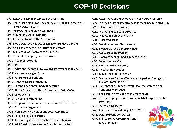 COP-10 Decisions X/1. Nagoya Protocol on Access Benefit Sharing X/2. The Strategic Plan for