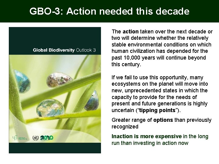 GBO-3: Action needed this decade The action taken over the next decade or two