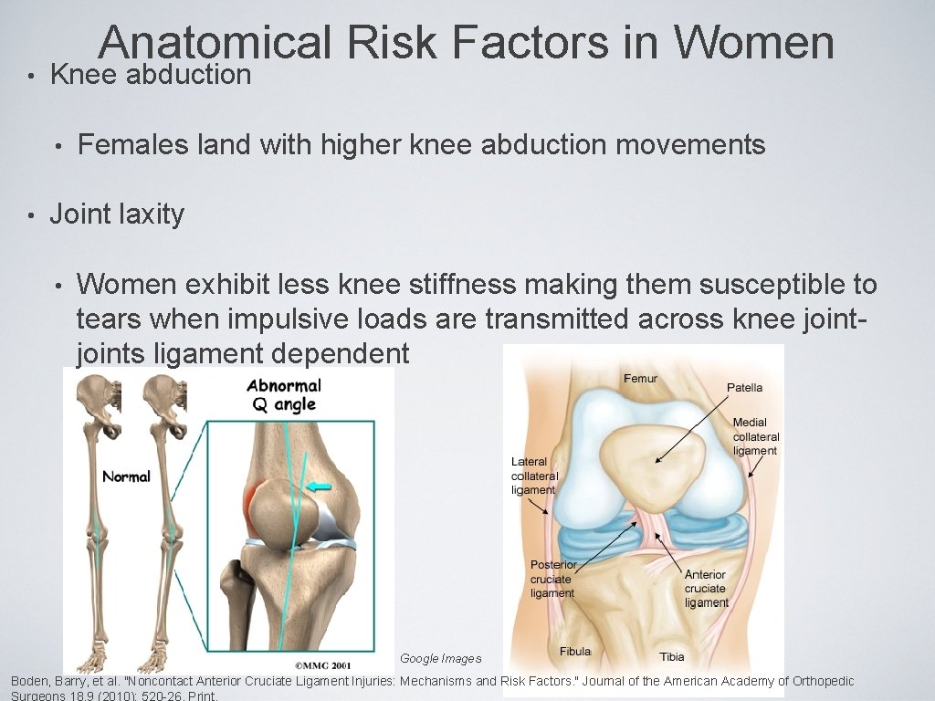  • Anatomical Risk Factors in Women Knee abduction • • Females land with