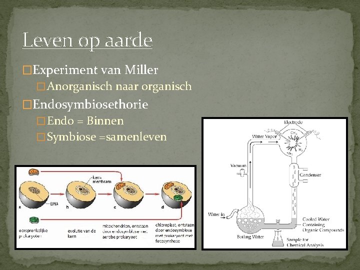 Leven op aarde �Experiment van Miller � Anorganisch naar organisch �Endosymbiosethorie � Endo =