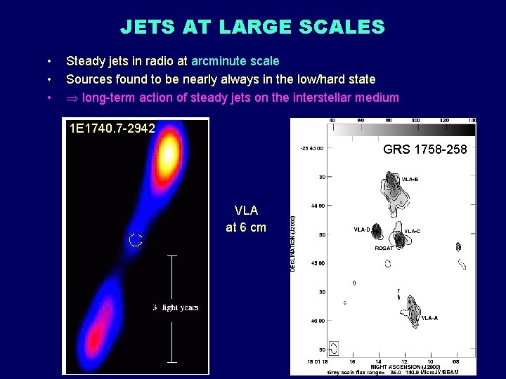 JETS AT LARGE SCALES • • • Steady jets in radio at arcminute scale