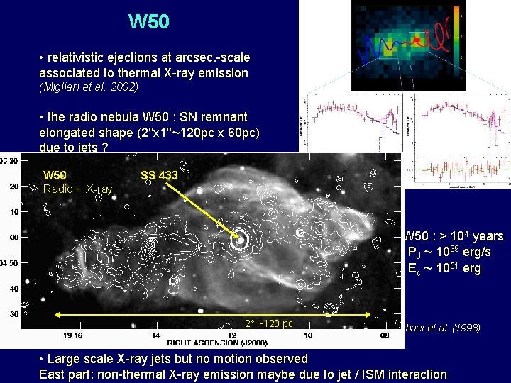 W 50 • relativistic ejections at arcsec. -scale associated to thermal X-ray emission (Migliari
