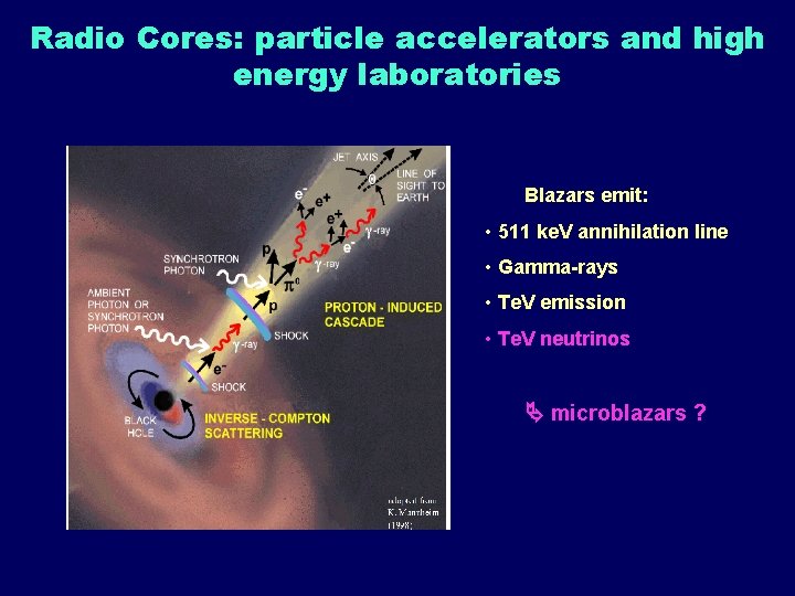 Radio Cores: particle accelerators and high energy laboratories Blazars emit: • 511 ke. V