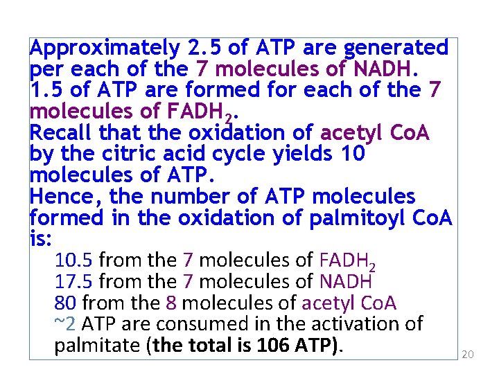 Approximately 2. 5 of ATP are generated per each of the 7 molecules of