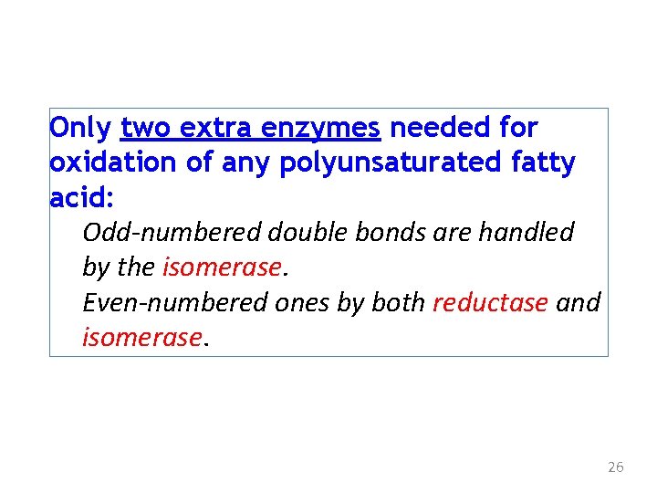 Only two extra enzymes needed for oxidation of any polyunsaturated fatty acid: Odd-numbered double